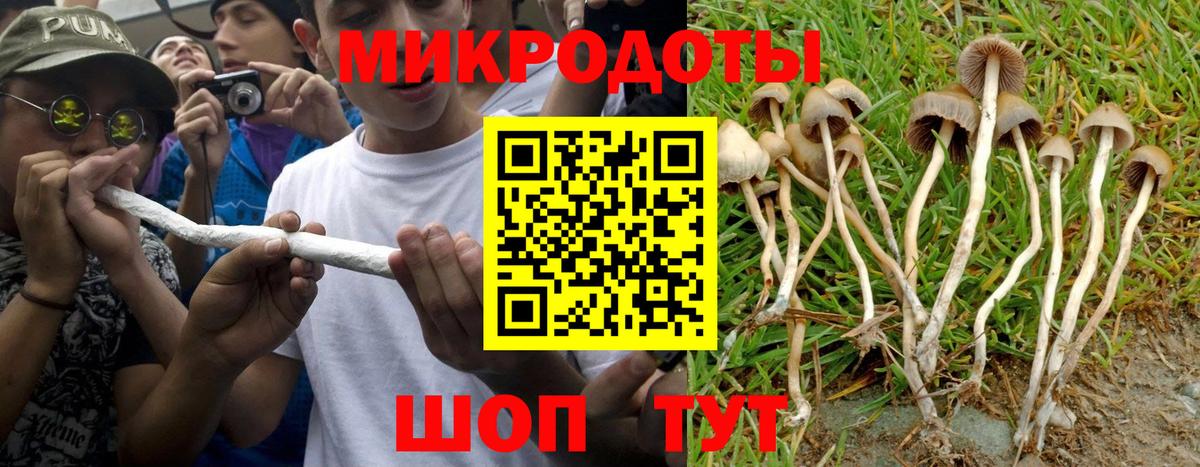Псилоцибиновые грибы Magic Shrooms Каспийск